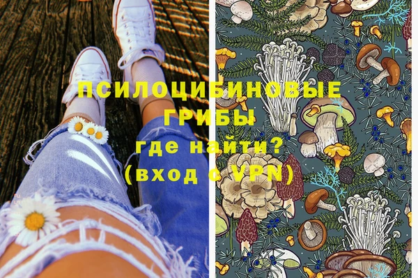 МДМА Богородицк