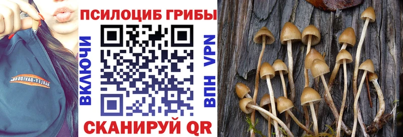 OMG сайт  Бокситогорск  Галлюциногенные грибы прущие грибы 